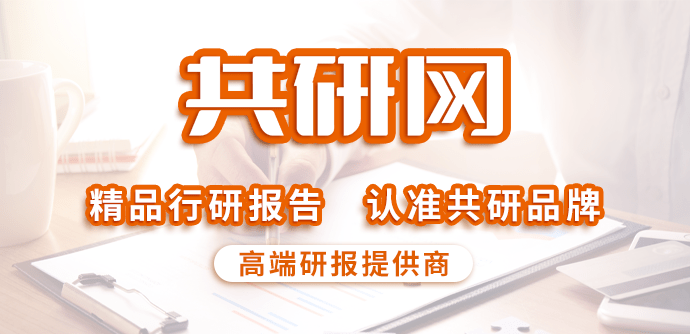 2022-2028年中国电机驱动芯片行业全景调研及市场需求预测报开云真人告(图1)