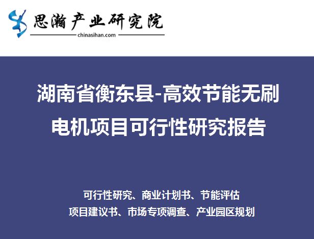 开云真人湖南省衡东县-高效节能无刷电机项目可行性研究报告(图2)